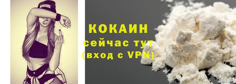 закладки  Динская  COCAIN VHQ 